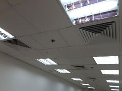 International Plaza (D2), Office #627833231